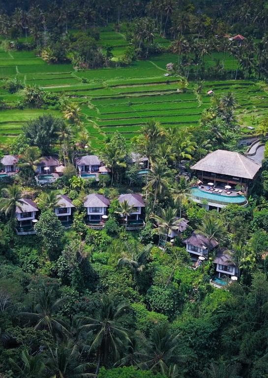 Natya resort Ubud - 9